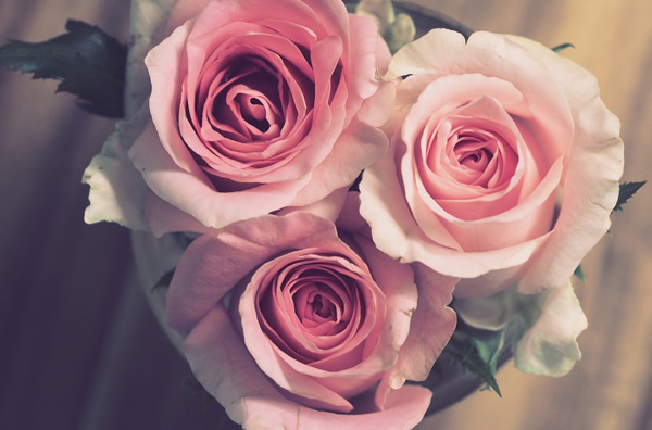 Feiern & Glück teilen