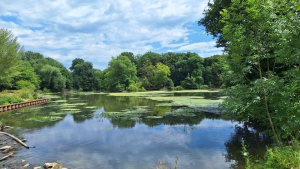 Wandern mit Heinz Klenk – Naherholungsgebiet Mühlheim-Dietesheim